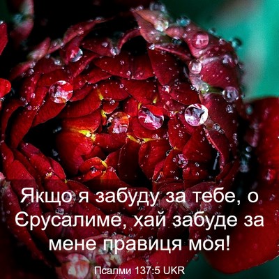 Picture 03 - Псалми 137:5 UKR - Якщо я забуду за тебе, о - Bible Verse Picture