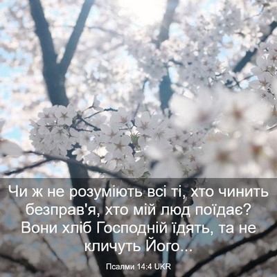 Picture 03 - Псалми 14:4 UKR - Чи ж не розуміють всі ті, - Bible Verse Picture
