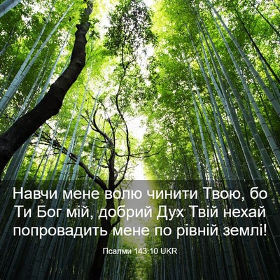 Picture 03 - Псалми 143:10 UKR - Навчи мене волю чинити - Bible Verse Picture