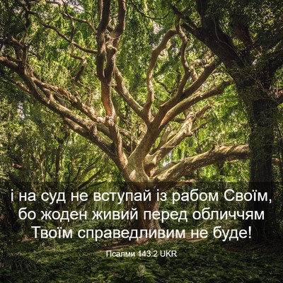 Picture 03 - Псалми 143:2 UKR - і на суд не вступай із - Bible Verse Picture