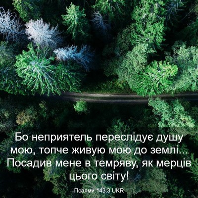 Picture 03 - Псалми 143:3 UKR - Бо неприятель переслідує - Bible Verse Picture