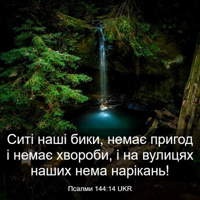 Picture 03 - Псалми 144:14 UKR - Ситі наші бики, немає - Bible Verse Picture