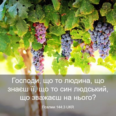 Picture 03 - Псалми 144:3 UKR - Господи, що то людина, що - Bible Verse Picture