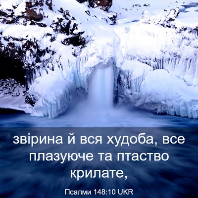 Picture 03 - Псалми 148:10 UKR - звірина й вся худоба, все - Bible Verse Picture