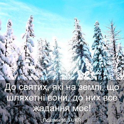 Picture 03 - Псалми 16:3 UKR - До святих, які на землі, що - Bible Verse Picture