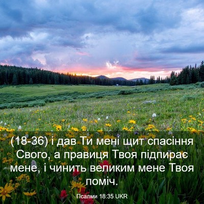 Picture 03 - Псалми 18:35 UKR - (18-36) і дав Ти мені щит - Bible Verse Picture