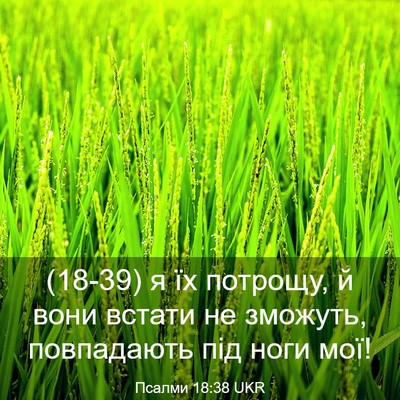 Picture 03 - Псалми 18:38 UKR - (18-39) я їх потрощу, й вони - Bible Verse Picture