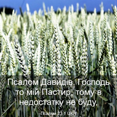 Picture 03 - Псалми 23:1 UKR - Псалом Давидів. Господь то - Bible Verse Picture