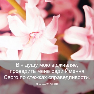 Picture 03 - Псалми 23:3 UKR - Він душу мою відживляє, - Bible Verse Picture