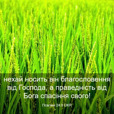 Picture 03 - Псалми 24:5 UKR - нехай носить він - Bible Verse Picture
