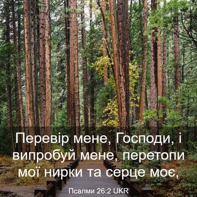 Picture 03 - Псалми 26:2 UKR - Перевір мене, Господи, і - Bible Verse Picture