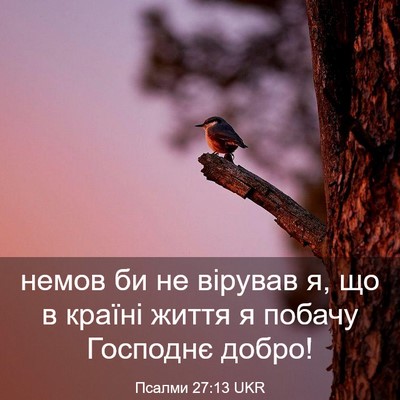 Picture 03 - Псалми 27:13 UKR - немов би не вірував я, що в - Bible Verse Picture
