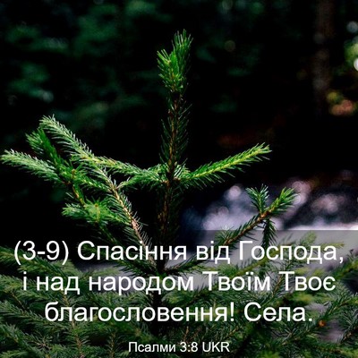 Picture 03 - Псалми 3:8 UKR - (3-9) Спасіння від Господа, і - Bible Verse Picture
