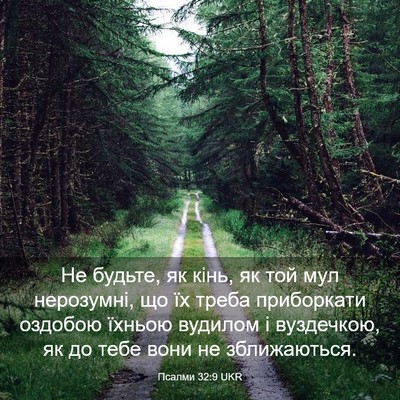 Picture 03 - Псалми 32:9 UKR - Не будьте, як кінь, як той - Bible Verse Picture