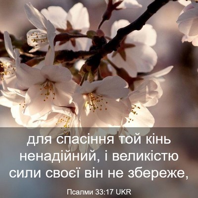 Picture 03 - Псалми 33:17 UKR - для спасіння той кінь - Bible Verse Picture