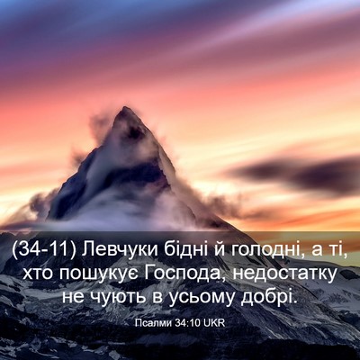 Picture 03 - Псалми 34:10 UKR - (34-11) Левчуки бідні й - Bible Verse Picture