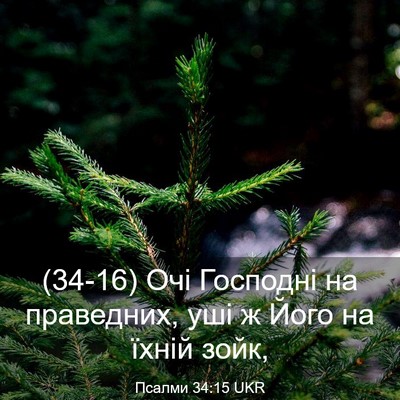 Picture 03 - Псалми 34:15 UKR - (34-16) Очі Господні на - Bible Verse Picture