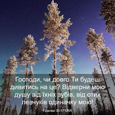 Picture 03 - Псалми 35:17 UKR - Господи, чи довго Ти будеш - Bible Verse Picture