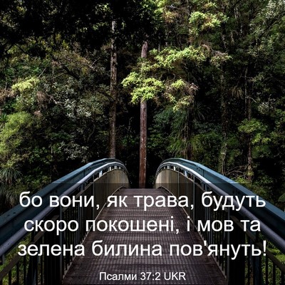 Picture 03 - Псалми 37:2 UKR - бо вони, як трава, будуть - Bible Verse Picture