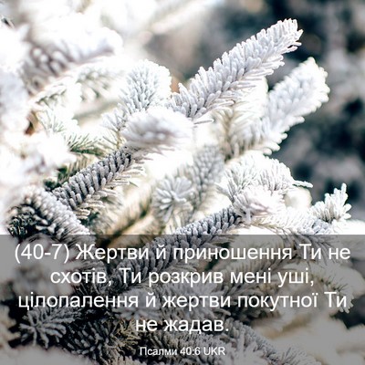 Picture 03 - Псалми 40:6 UKR - (40-7) Жертви й приношення Ти - Bible Verse Picture