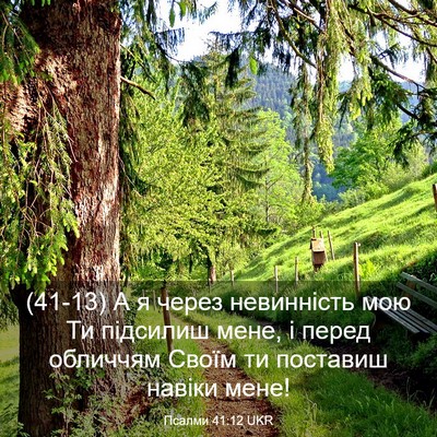 Picture 03 - Псалми 41:12 UKR - (41-13) А я через невинність - Bible Verse Picture
