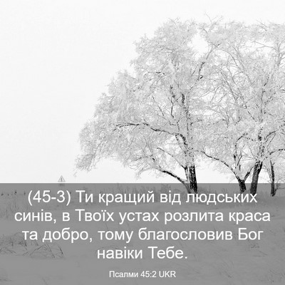 Picture 03 - Псалми 45:2 UKR - (45-3) Ти кращий від людських - Bible Verse Picture