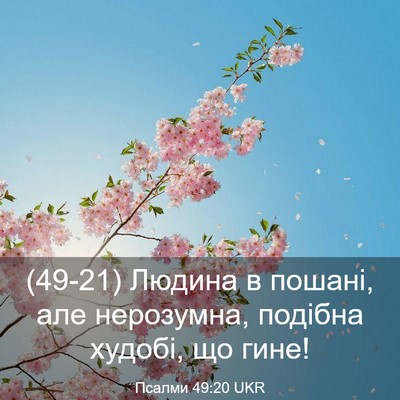 Picture 03 - Псалми 49:20 UKR - (49-21) Людина в пошані, але - Bible Verse Picture