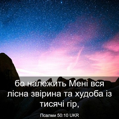 Picture 03 - Псалми 50:10 UKR - бо належить Мені вся лісна - Bible Verse Picture
