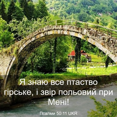 Picture 03 - Псалми 50:11 UKR - Я знаю все птаство гірське, - Bible Verse Picture