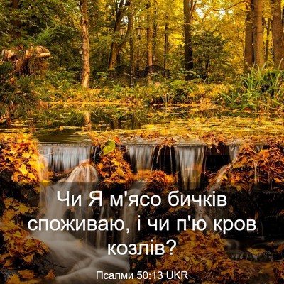 Picture 03 - Псалми 50:13 UKR - Чи Я м'ясо бичків споживаю, - Bible Verse Picture