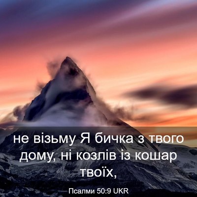 Picture 03 - Псалми 50:9 UKR - не візьму Я бичка з твого - Bible Verse Picture