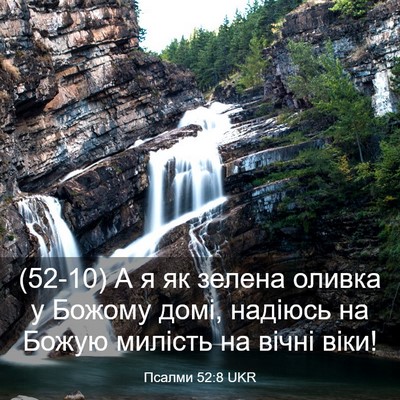 Picture 03 - Псалми 52:8 UKR - (52-10) А я як зелена оливка у - Bible Verse Picture