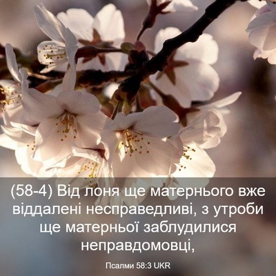 Picture 03 - Псалми 58:3 UKR - (58-4) Від лоня ще матернього - Bible Verse Picture