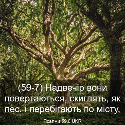 Picture 03 - Псалми 59:6 UKR - (59-7) Надвечір вони - Bible Verse Picture