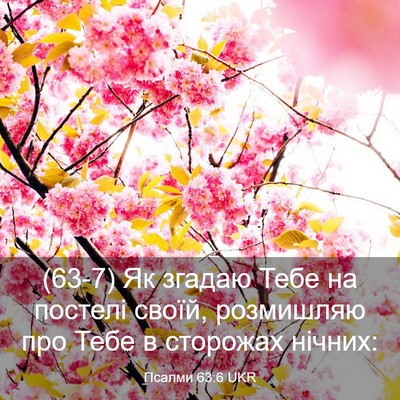 Picture 03 - Псалми 63:6 UKR - (63-7) Як згадаю Тебе на - Bible Verse Picture