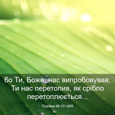Picture 03 - Псалми 66:10 UKR - бо Ти, Боже, нас - Bible Verse Picture