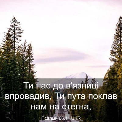Picture 03 - Псалми 66:11 UKR - Ти нас до в'язниці - Bible Verse Picture