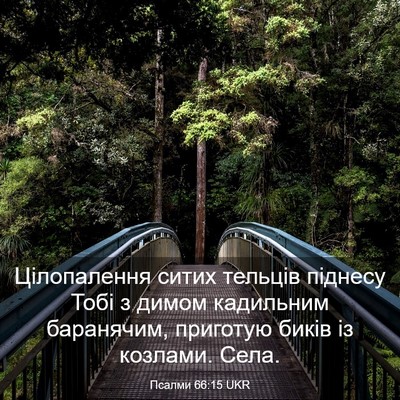 Picture 03 - Псалми 66:15 UKR - Цілопалення ситих тельців - Bible Verse Picture