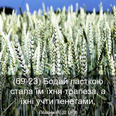 Picture 03 - Псалми 69:22 UKR - (69-23) Бодай пасткою стала їм - Bible Verse Picture