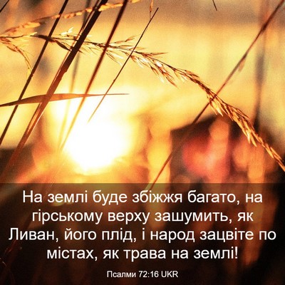 Picture 03 - Псалми 72:16 UKR - На землі буде збіжжя - Bible Verse Picture
