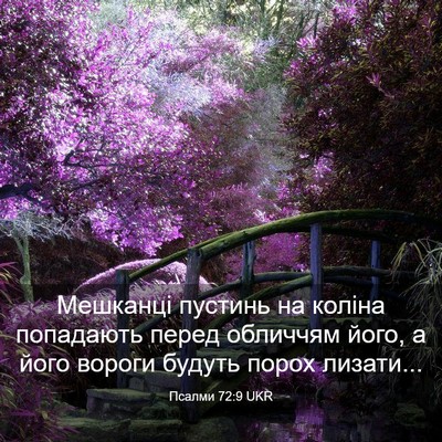 Picture 03 - Псалми 72:9 UKR - Мешканці пустинь на коліна - Bible Verse Picture