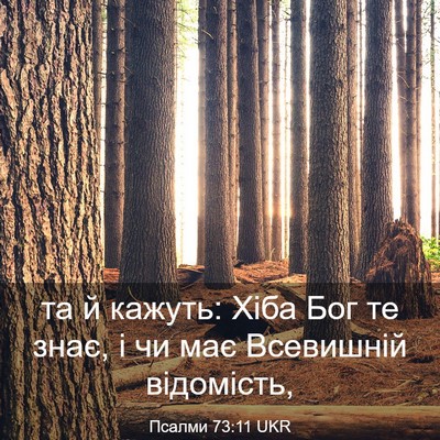 Picture 03 - Псалми 73:11 UKR - та й кажуть: Хіба Бог те - Bible Verse Picture