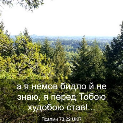 Picture 03 - Псалми 73:22 UKR - а я немов бидло й не знаю, я - Bible Verse Picture