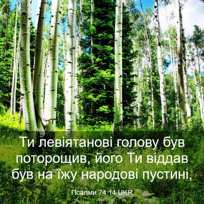 Picture 03 - Псалми 74:14 UKR - Ти левіятанові голову був - Bible Verse Picture