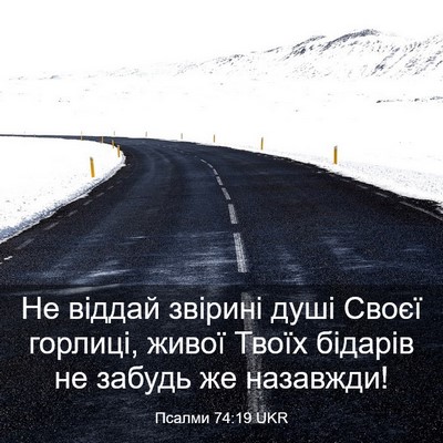 Picture 03 - Псалми 74:19 UKR - Не віддай звірині душі - Bible Verse Picture