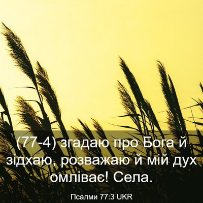 Picture 03 - Псалми 77:3 UKR - (77-4) згадаю про Бога й - Bible Verse Picture