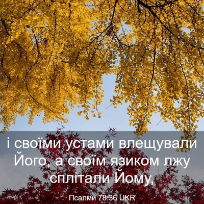 Picture 03 - Псалми 78:36 UKR - і своїми устами влещували - Bible Verse Picture