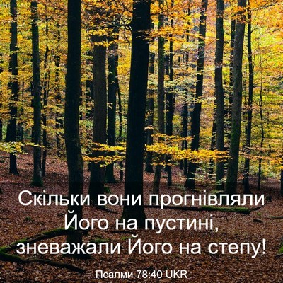 Picture 03 - Псалми 78:40 UKR - Скільки вони прогнівляли - Bible Verse Picture