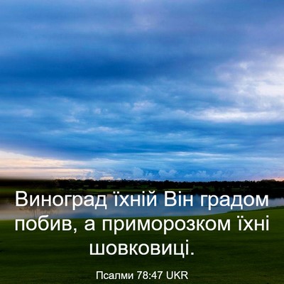 Picture 03 - Псалми 78:47 UKR - Виноград їхній Він градом - Bible Verse Picture