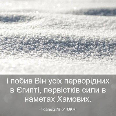 Picture 03 - Псалми 78:51 UKR - і побив Він усіх - Bible Verse Picture